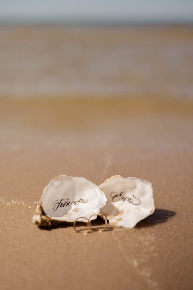 Obrączki ślubne i winietki z ostryg na plaży