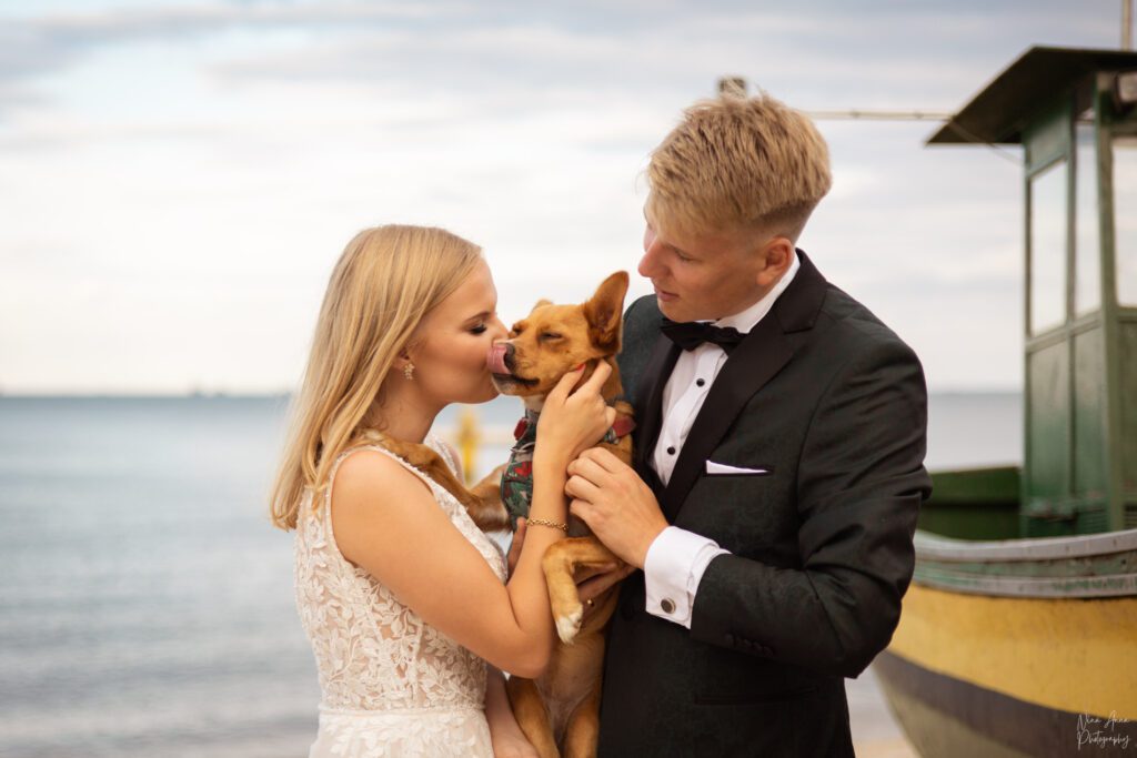 Sesja ślubna na plaży z psem