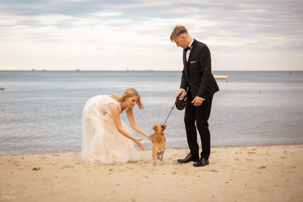 Sesja ślubna na plaży z psem