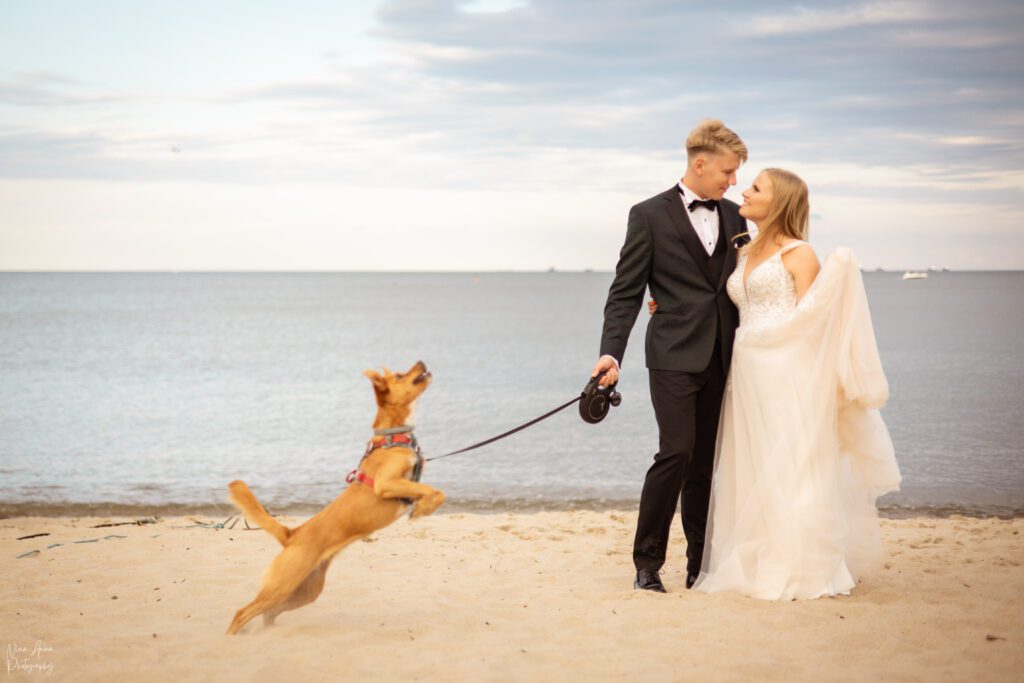 Sesja ślubna na plaży z psem