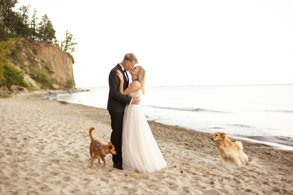 Sesja ślubna na plaży z psem